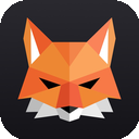 Fox国内机场