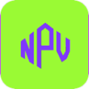 npv国内机场