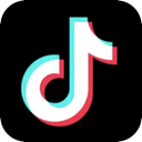 TikTok国内机场